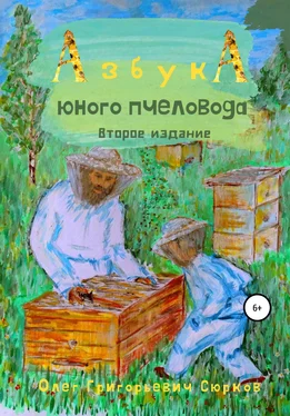 Олег Сюрков Азбука юного пчеловода. Второе издание обложка книги