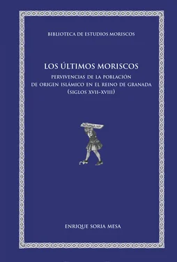 Enrique Soria Mesa Los últimos moriscos обложка книги