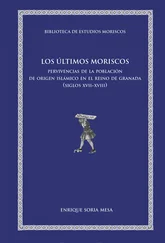 Enrique Soria Mesa - Los últimos moriscos