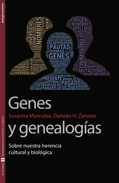 Susana Manrubia Cuevas Genes y genealogías обложка книги