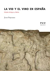 Juan Piqueras - La vid y el vino en España