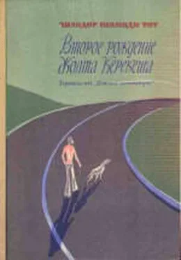 Шандор Тот Второе рождение Жолта Керекеша обложка книги