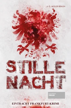 Dana Müller-Braun Stille Nacht обложка книги