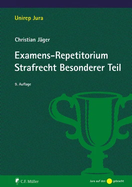Christian Jäger Examens-Repetitorium Strafrecht Besonderer Teil, eBook обложка книги