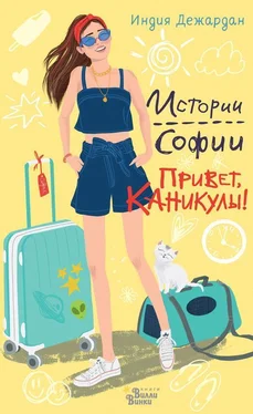 Индия Дежардан Привет, каникулы! обложка книги