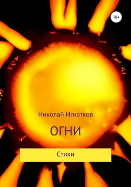 Николай Игнатков Огни обложка книги