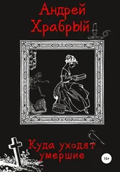 Андрей Храбрый - Куда уходят умершие