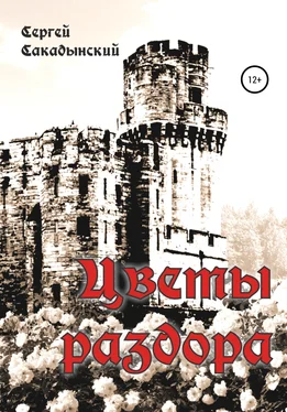 Сергей Сакадынский Цветы раздора обложка книги