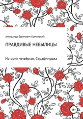 Александр Каминский - Правдивые небылицы. История четвёртая. Серафимушка