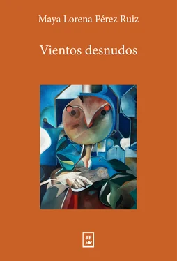 Pérez Ruíz Maya Lorena Vientos desnudos обложка книги