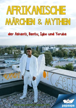 paapa team Afrikanische Märchen & Mythen обложка книги