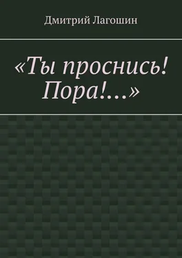 Дмитрий Лагошин «Ты проснись! Пора!…» обложка книги