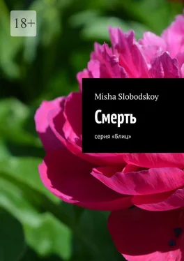 Misha Slobodskoy Смерть. Серия «Блиц» обложка книги