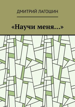Дмитрий Лагошин «Научи меня…» обложка книги