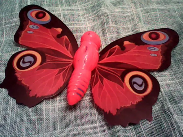автор фото Анабелла Го Поймав беретом бабочку Я принесла домой Ты не - фото 2
