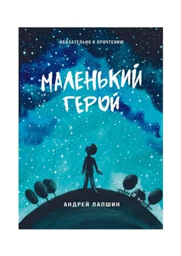 Андрей Лапшин Маленький герой. Сборник №5 обложка книги