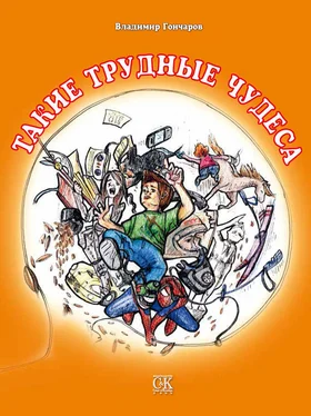 Владимир Гончаров Такие трудные чудеса обложка книги