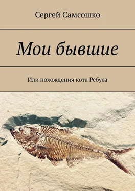 Сергей Самсошко Мои бывшие. Или похождения кота Ребуса обложка книги