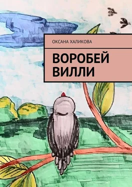 Оксана Халикова Воробей Вилли обложка книги