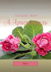 Александр Зверев - ААристотель. Оберег