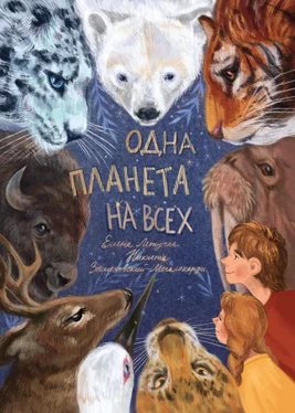 Никита Замеховский-Мегалокарди Одна планета на всех обложка книги