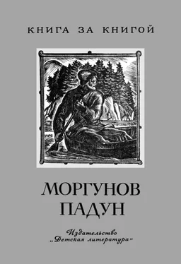 Александр Нечаев Моргунов падун обложка книги