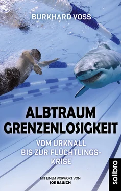 Burkhard Voß Albtraum Grenzenlosigkeit обложка книги