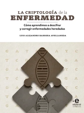 Luis Alejandro Barrera Avellaneda La criptología de la enfermedad обложка книги