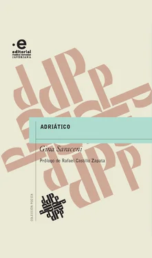Gina Saraceni Adriático обложка книги