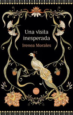 Irenea Morales Una visita inesperada обложка книги