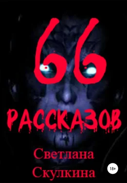 Светлана Скулкина 66 рассказов обложка книги