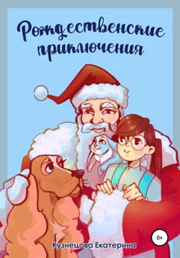 Екатерина Кузнецова Рождественские приключения