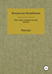 Владислав Нелюбовин - Как запах защекотал все запахи