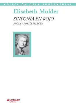 Elisabeth Mulder Sinfonía en rojo обложка книги