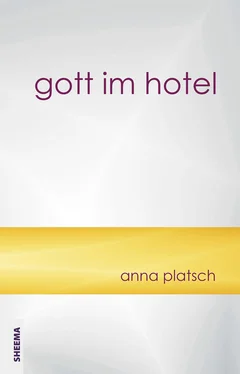 Platsch Anna Gott im Hotel обложка книги