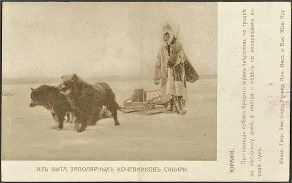волосянки Ворогово 1 Волосяные носки вязанные из конского волоса - фото 23