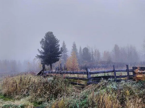 греби на гребях движение на лодке с помощью вёсел грохотка 1 Крупное - фото 28
