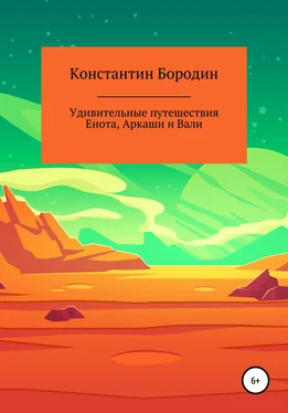 Константин Бородин Удивительные путешествия Енота, Аркаши и Вали обложка книги