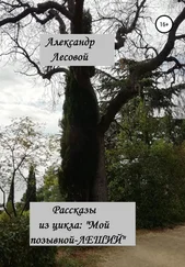 Александр Лесовой - Рассказы из цикла - «Мой позывной Леший»