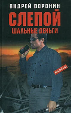 Андрей Воронин Шальные деньги обложка книги