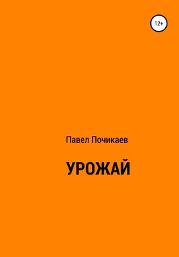 Павел Почикаев Урожай обложка книги