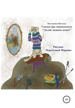 Наталья Молчанова Сказка про минимализм «Долой лишние вещи!» обложка книги