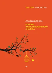 Альфрид Антон Лэнгле - Основы экзистенциального анализа