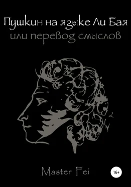 Master Fei Пушкин на языке Ли Бая, или Перевод смыслов обложка книги