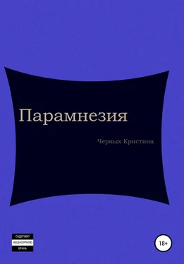 Кристина Черных Парамнезия обложка книги