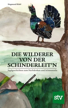 Siegmund Klakl Die Wilderer von der Schinderleit'n обложка книги