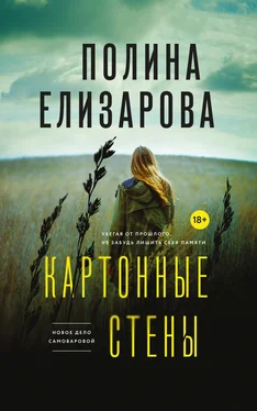 Полина Елизарова Картонные стены обложка книги