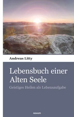 Andreas Litty Lebensbuch einer Alten Seele обложка книги