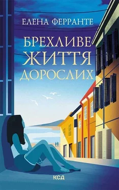 Елена Феранте Брехливе життя дорослих обложка книги