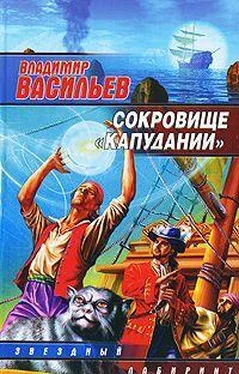 Владимир Васильев Сокровище «Капудании» обложка книги